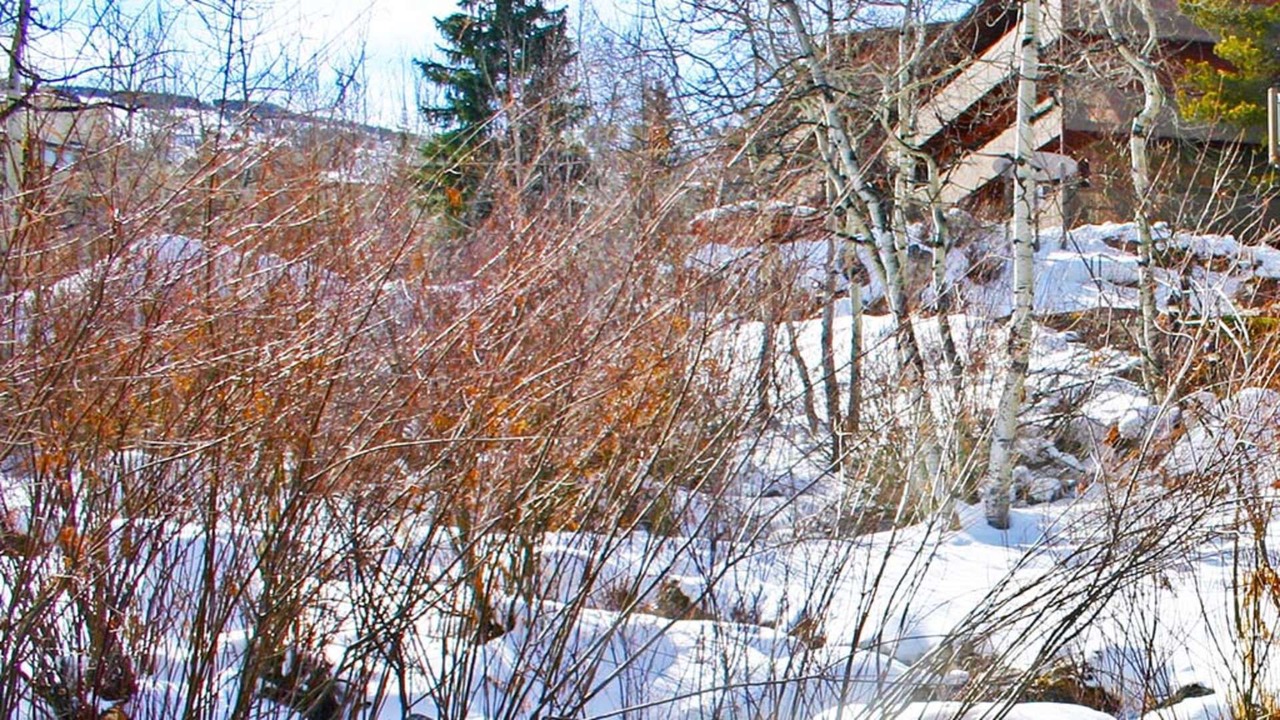 Photo of Outdoor in Snowmass Village