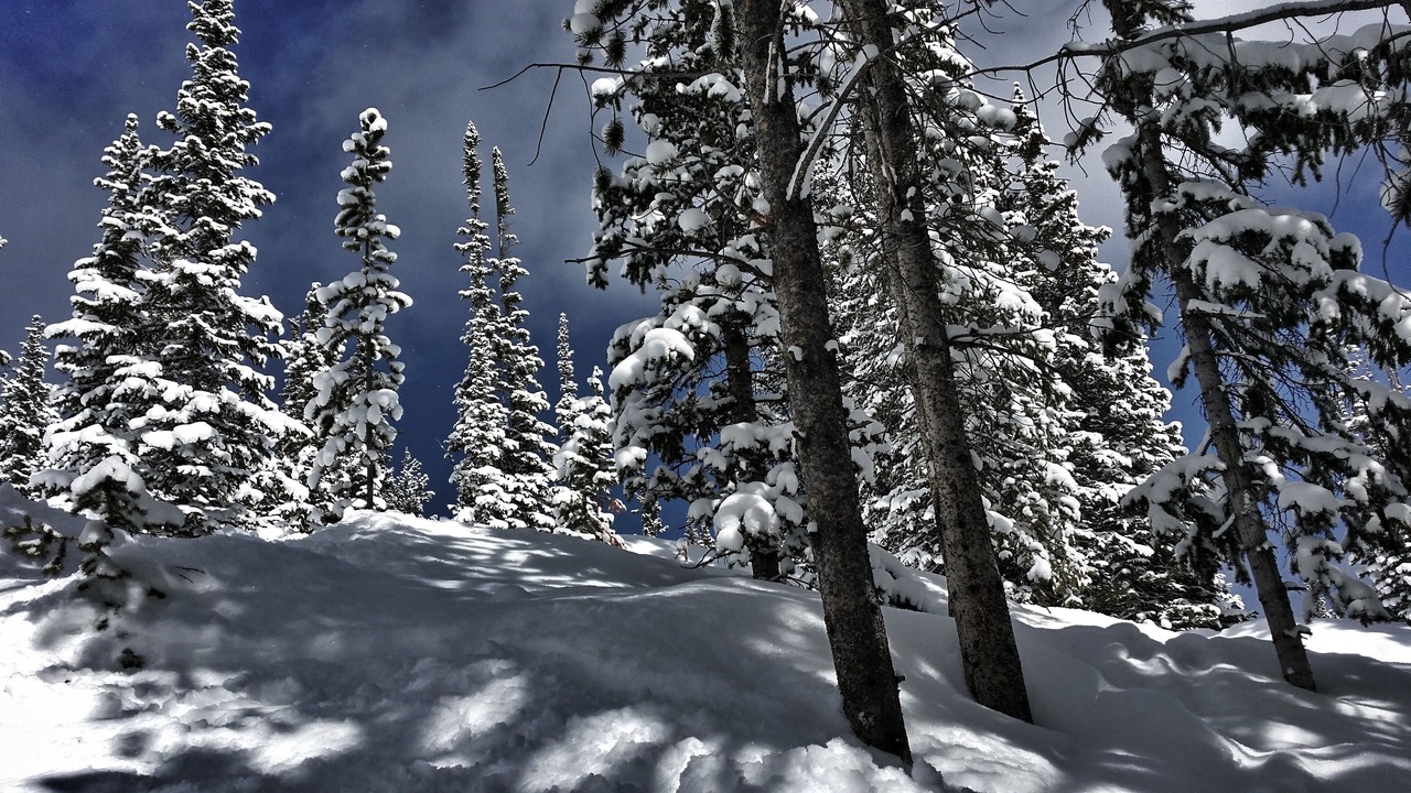 Photo of Outdoor in Silvercreek