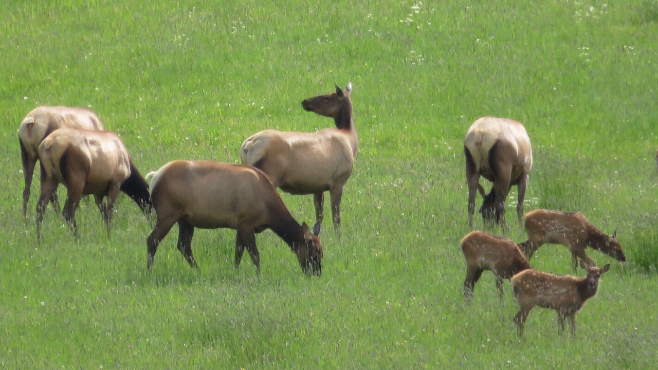Photo of Outdoor in Parshall