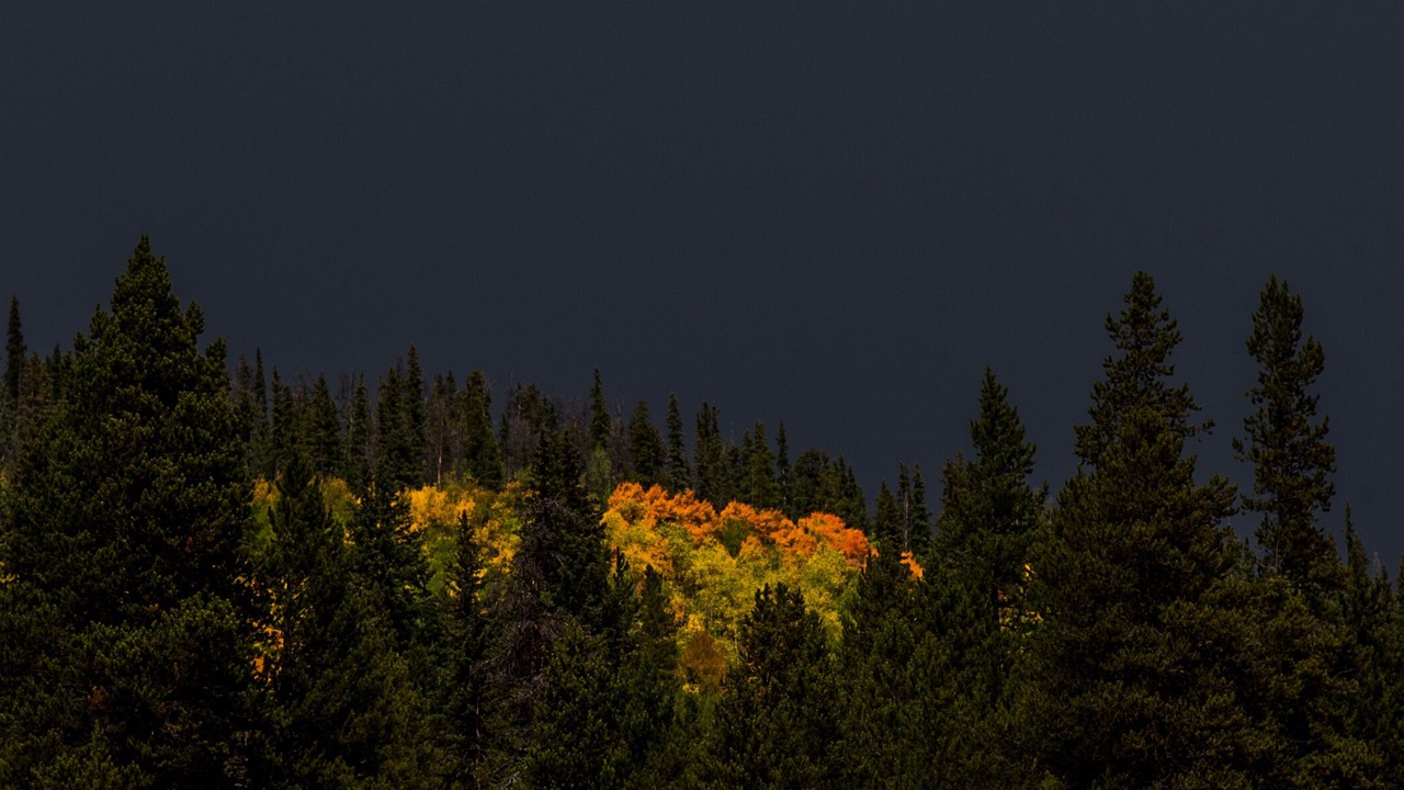 Photo of Others in Copper Mountain Village