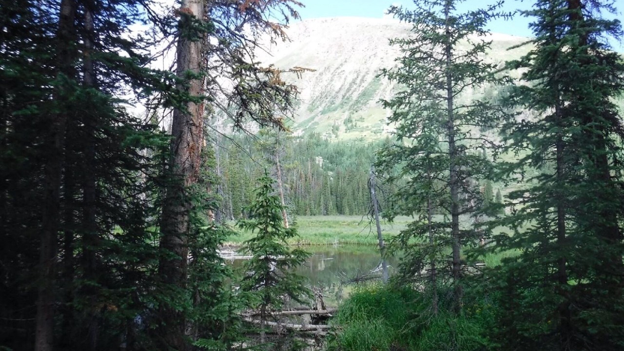 Photo of Outdoor in Summit Cove