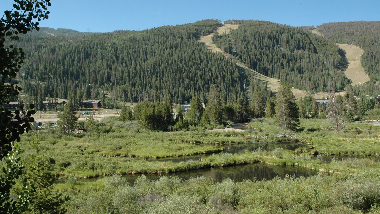 Photo of Others in Mountain House