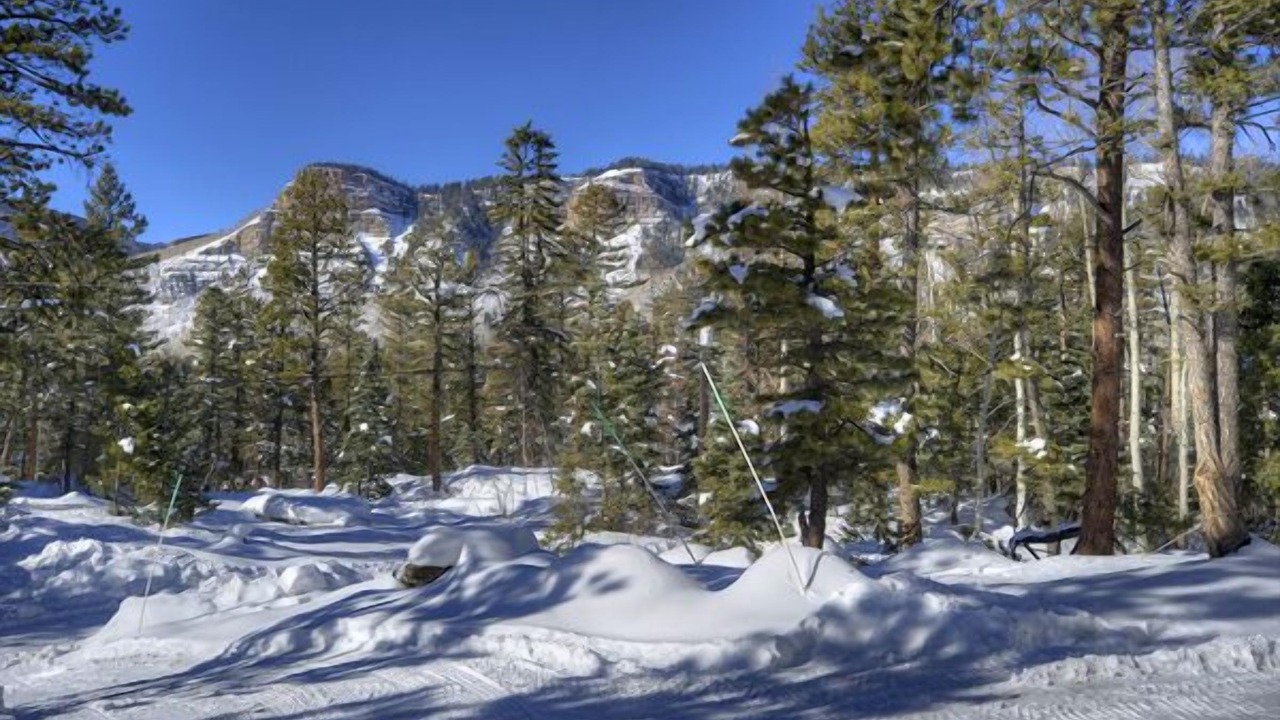 Photo of Outdoor in Columbine Lake