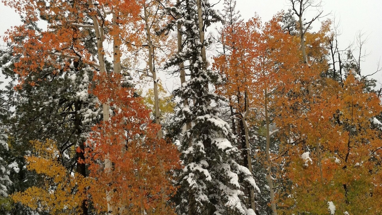 Photo of Outdoor in Columbine Lake