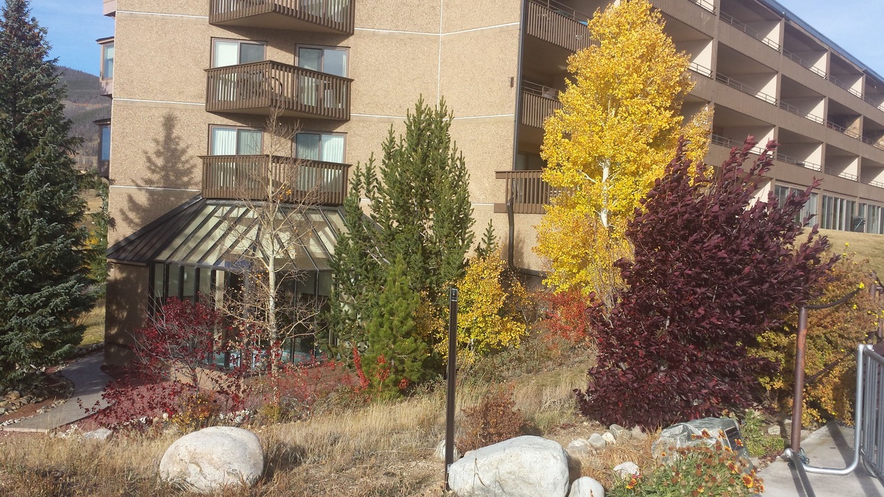 Photo of Others in Dillon