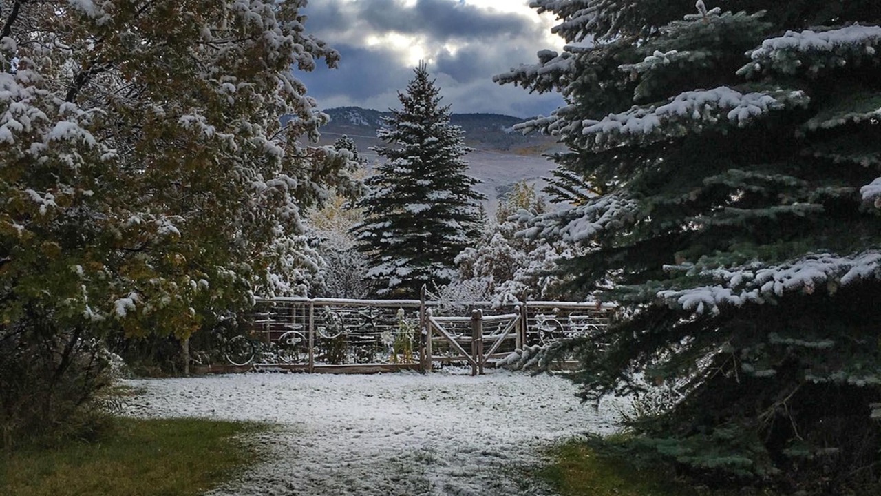 Photo of Outdoor in Missouri Heights