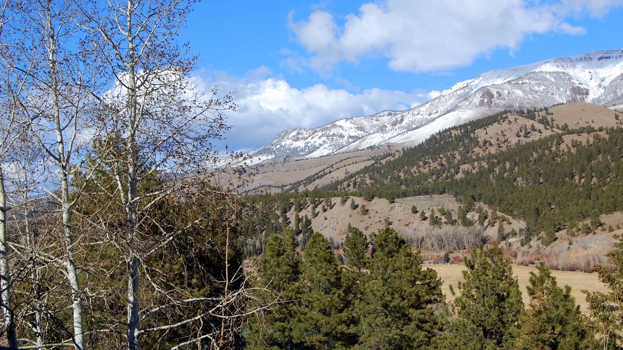 Photo of Others in Lake City