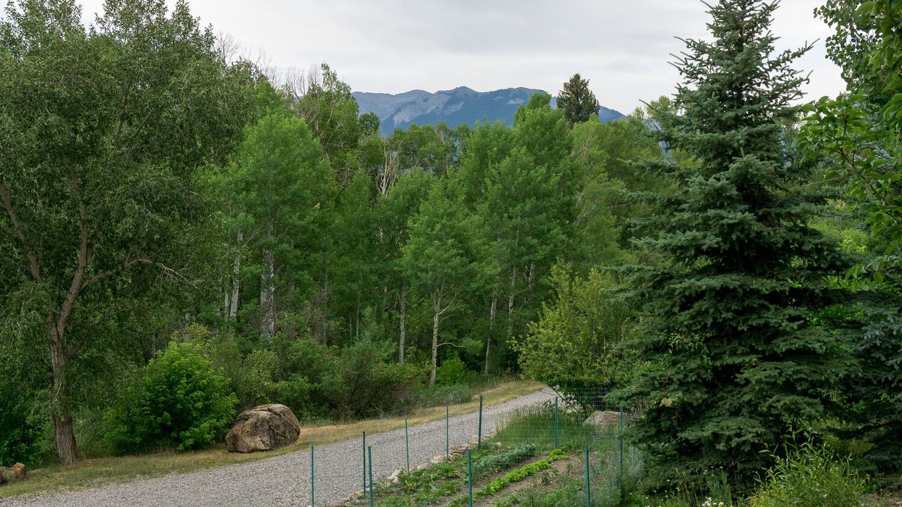 Photo of Others in Ridgway