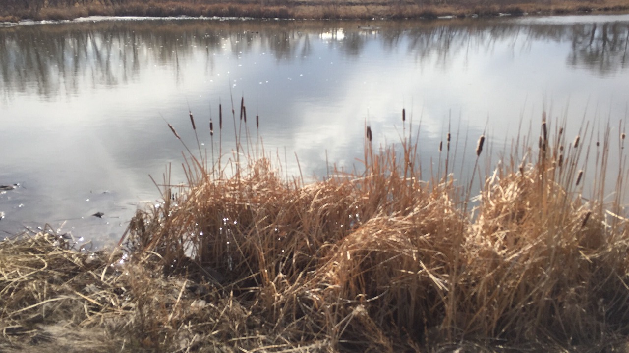 Photo of Outdoor in Thornton