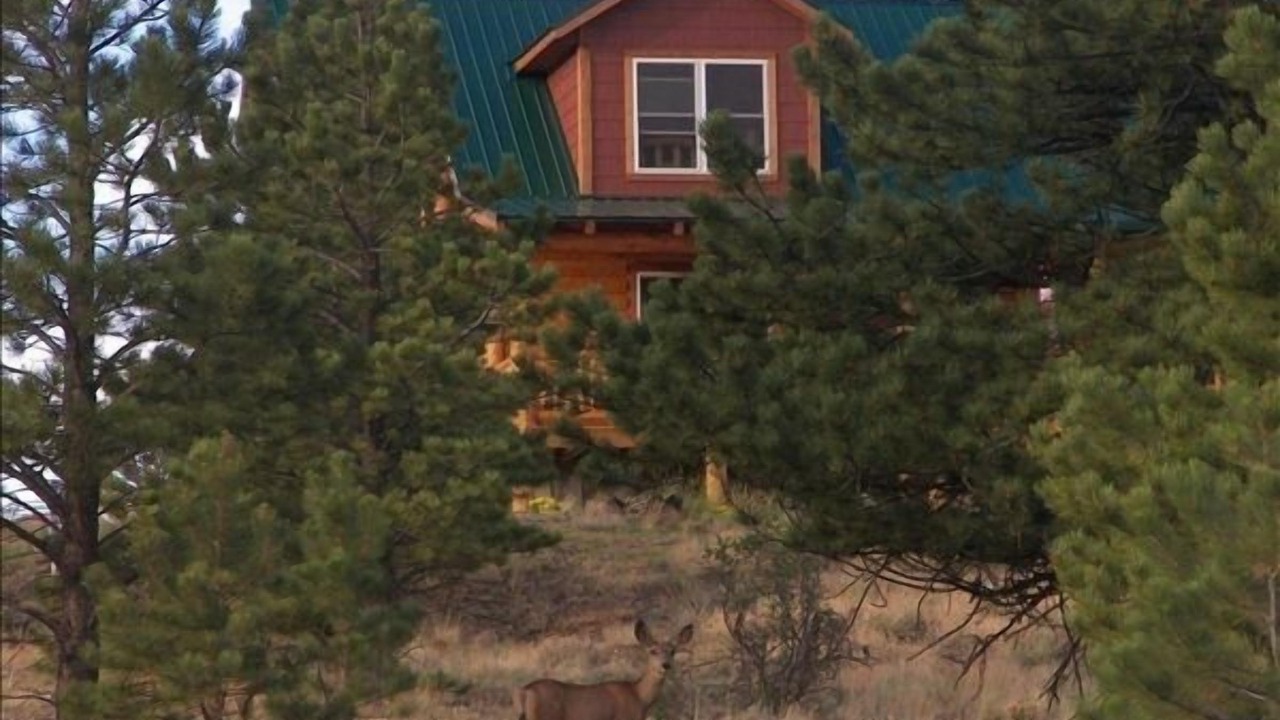 Photo of Others in Westcliffe