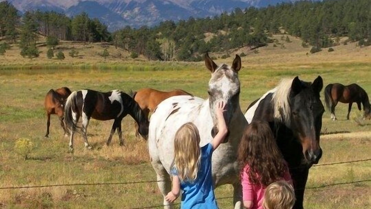 Photo of Others in Westcliffe
