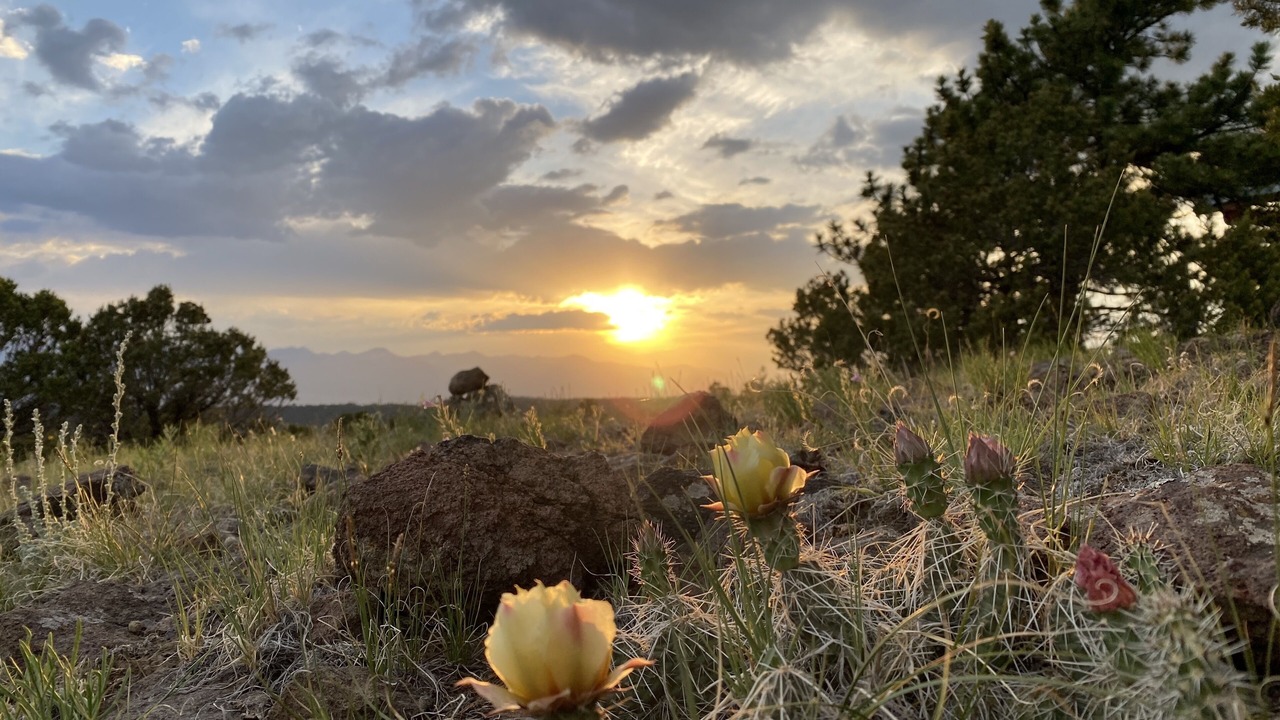 Photo of Others in Westcliffe
