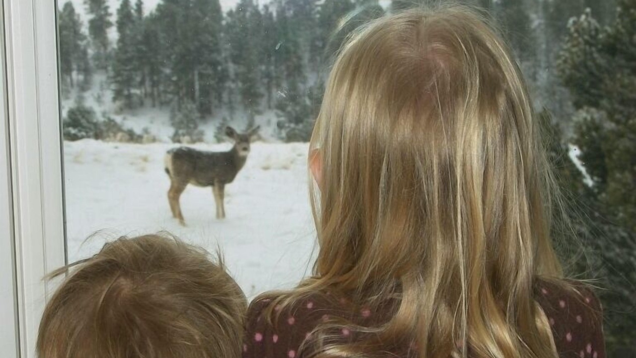 Photo of Others in Westcliffe