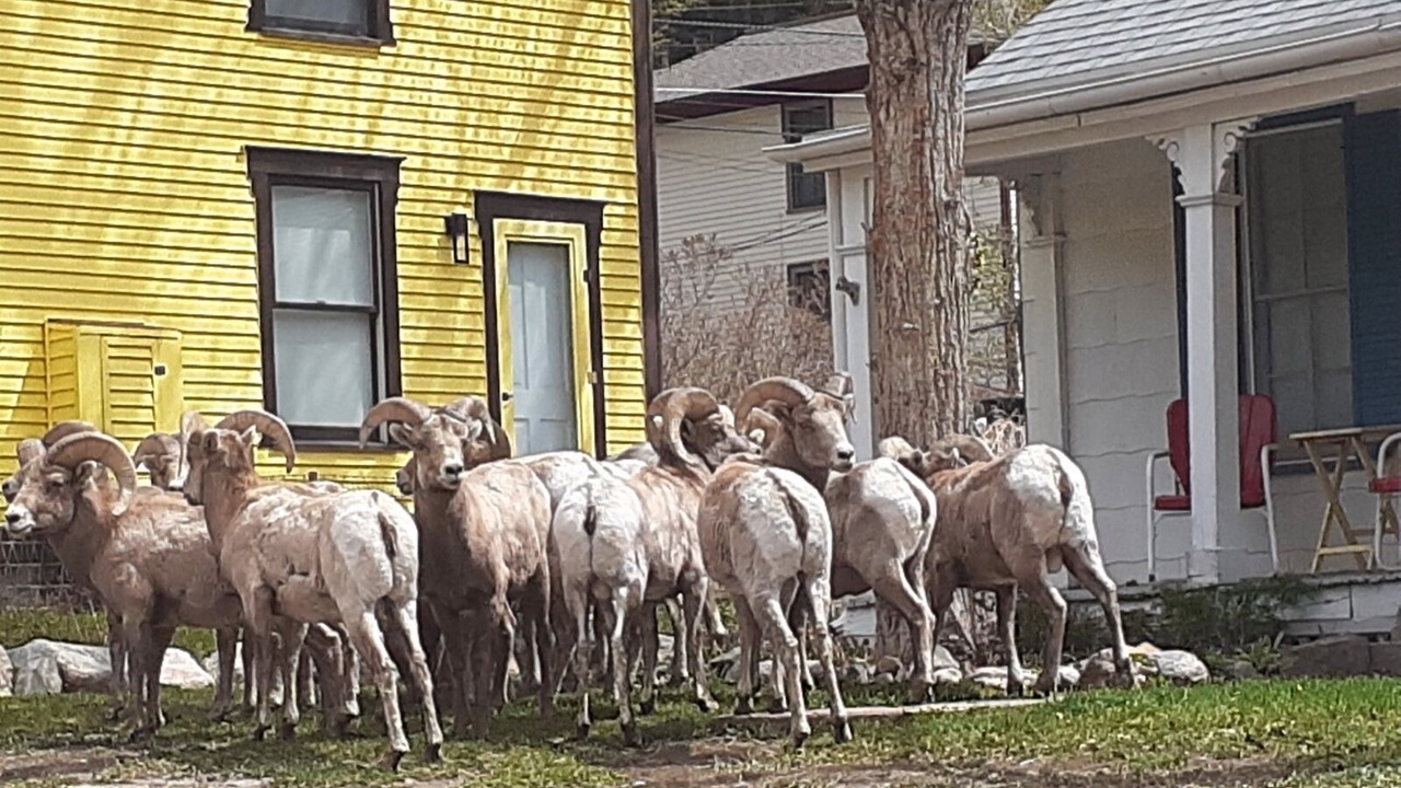 Photo of Others in Historic District