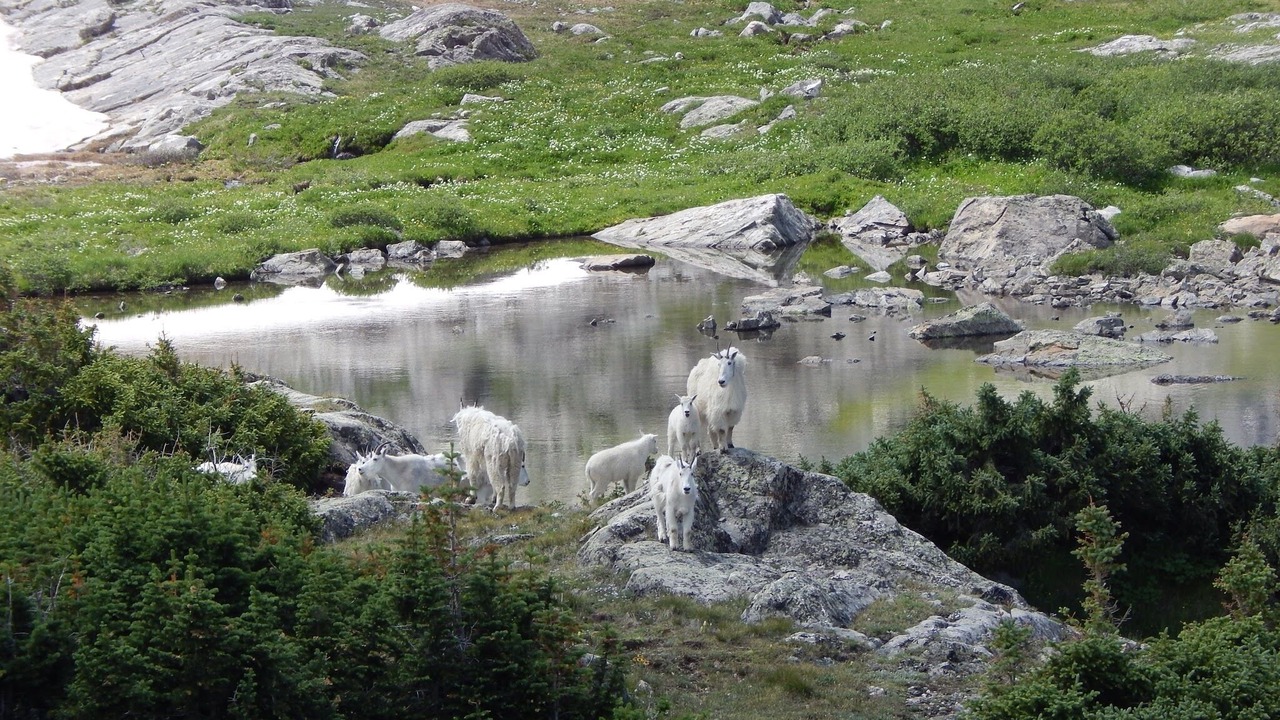 Photo of Others in Quandary Village