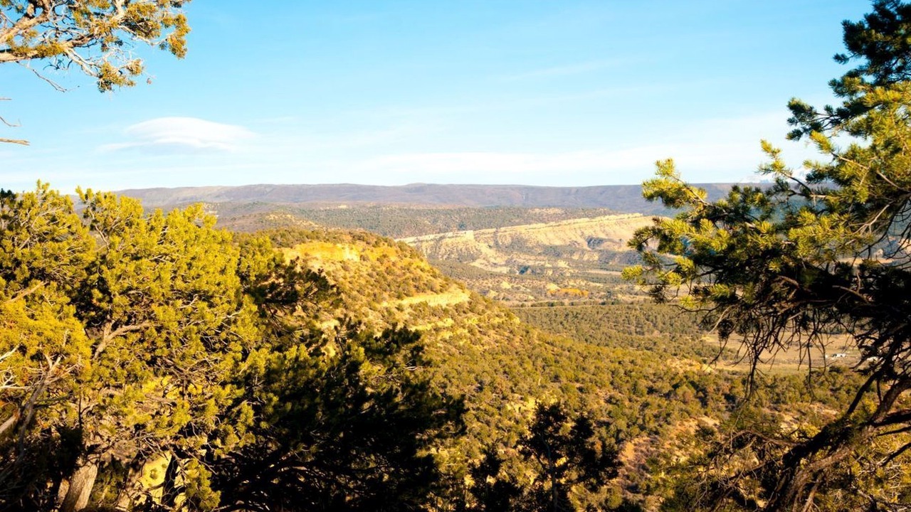 Photo of Others in Cedaredge