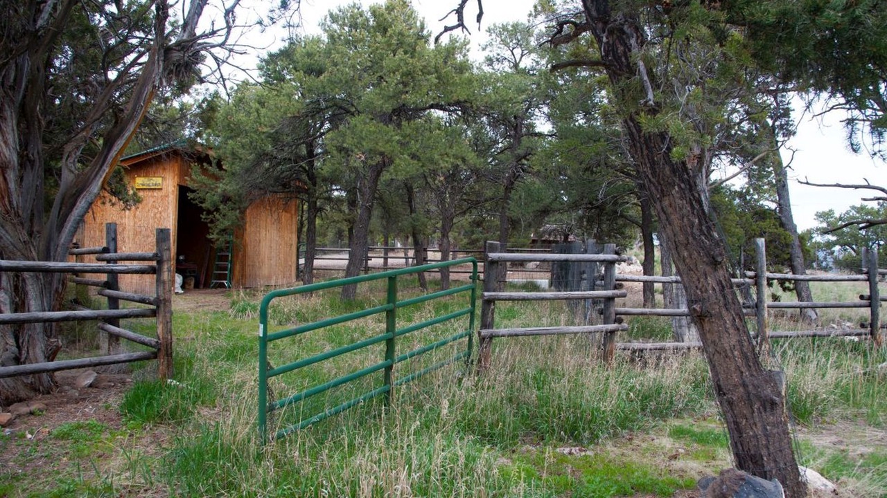 Photo of Others in Cedaredge