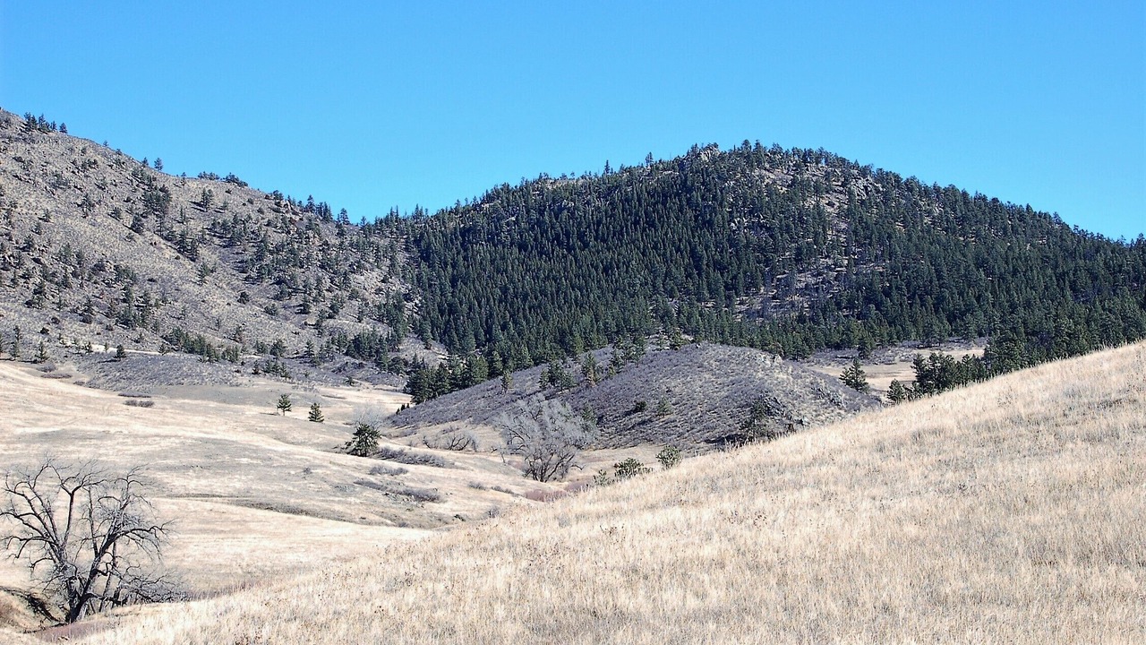 Photo of Outdoor in Livermore
