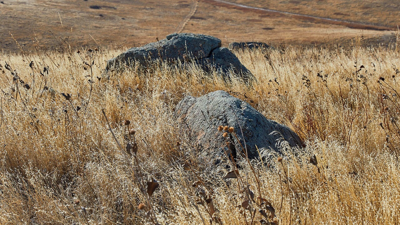Photo of Others in Livermore
