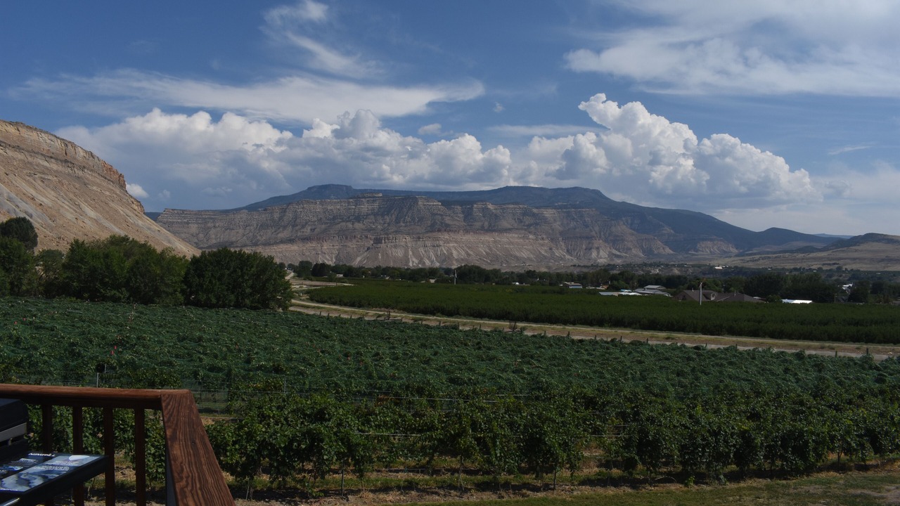 Photo of Others in Palisade