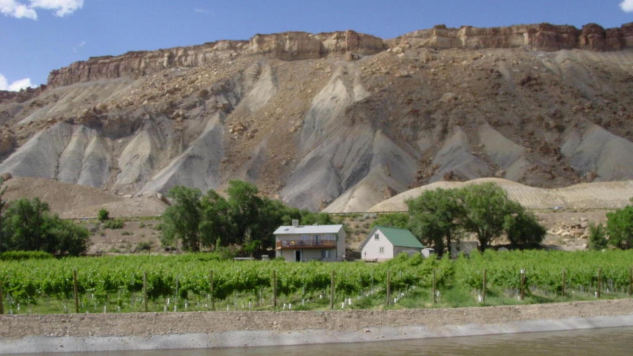 Photo of Outdoor in Palisade