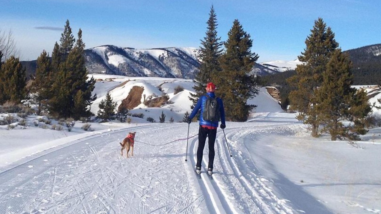Photo of Others in Leadville