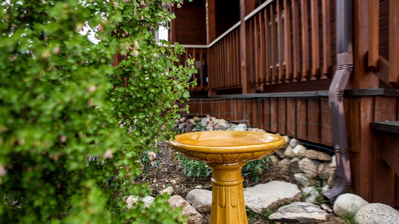 Photo of Outdoor in Buena Vista