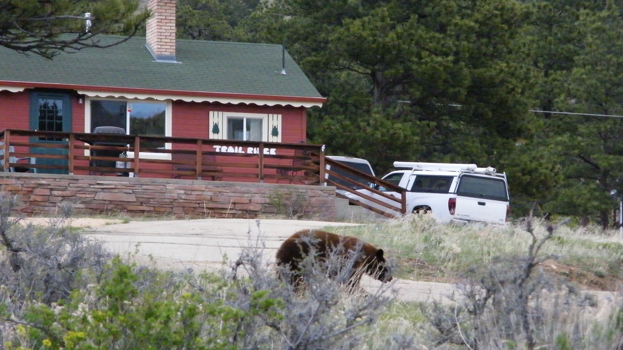 Photo of Others in Estes Park