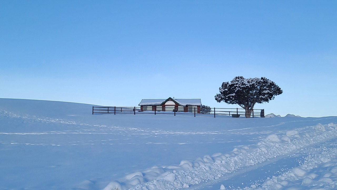 Photo of Outdoor in New Castle