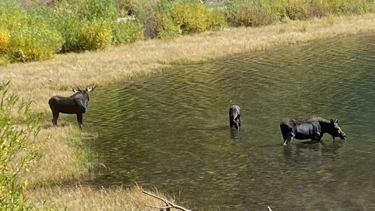 Photo of Others in Columbine Lake
