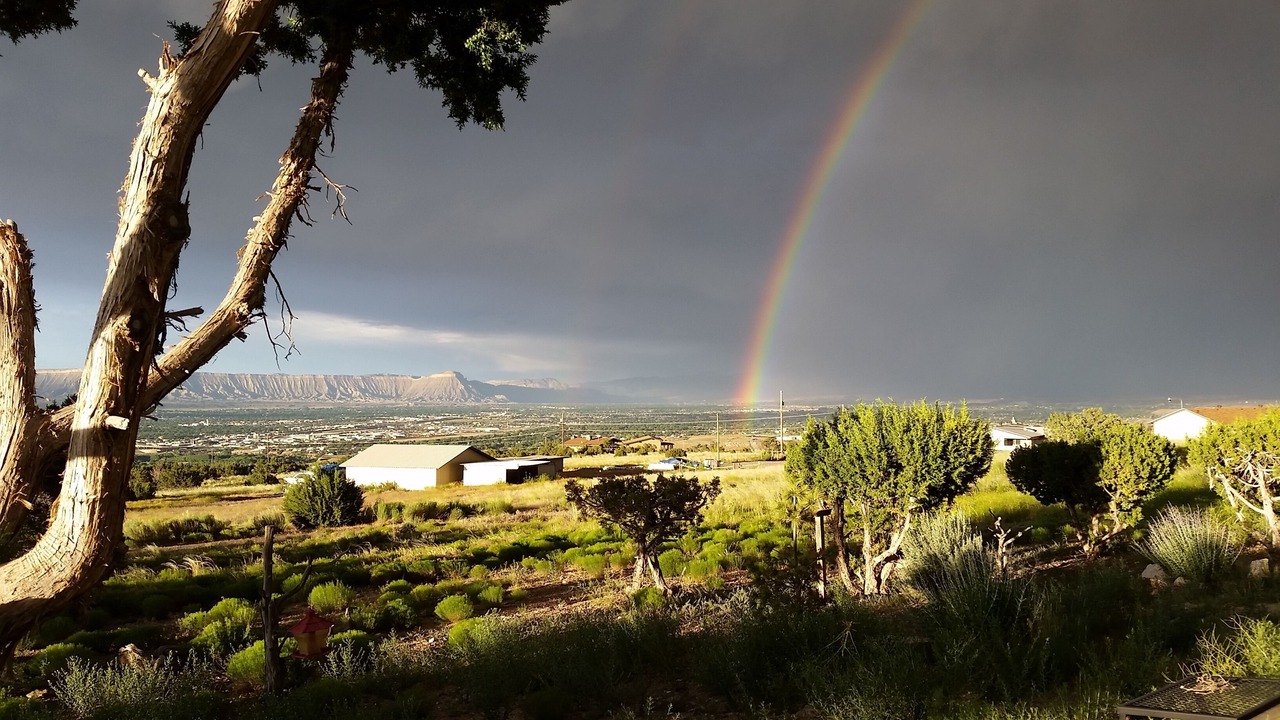 Photo of Outdoor in Grand Junction