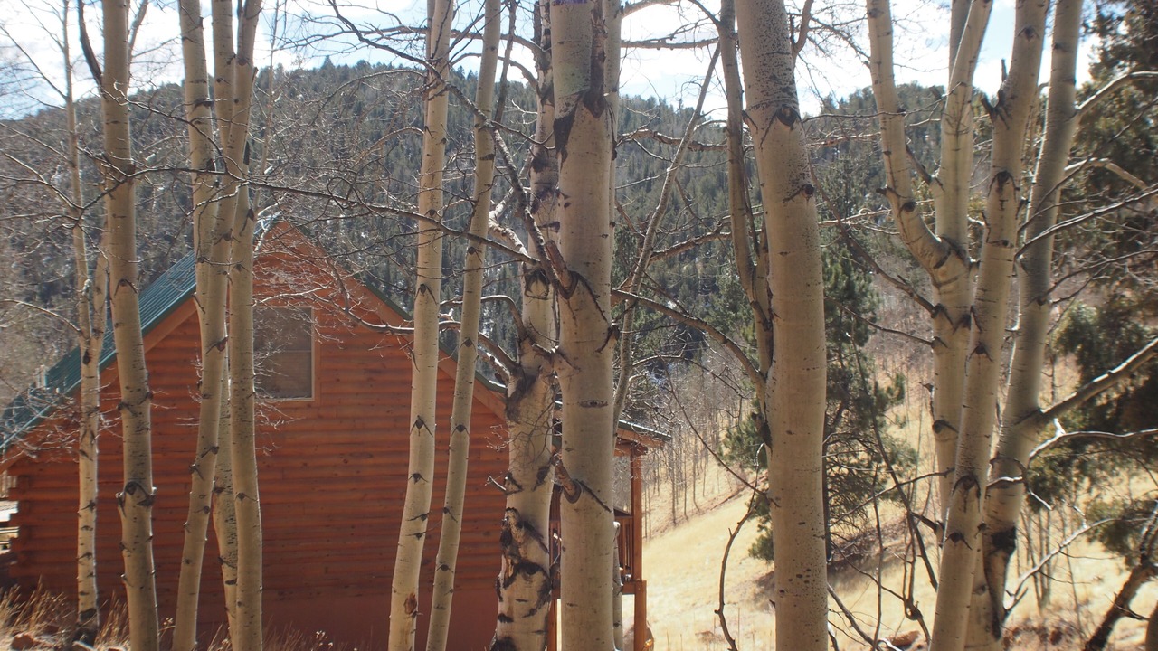Photo of Outdoor in Rainbow Valley