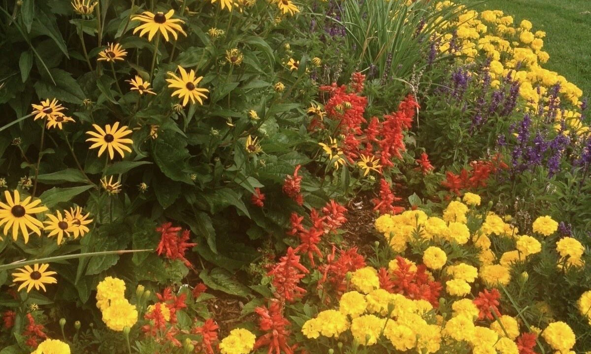 Photo of Outdoor in Vail