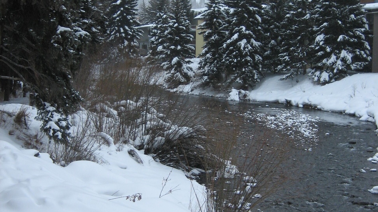 Photo of Others in Vail