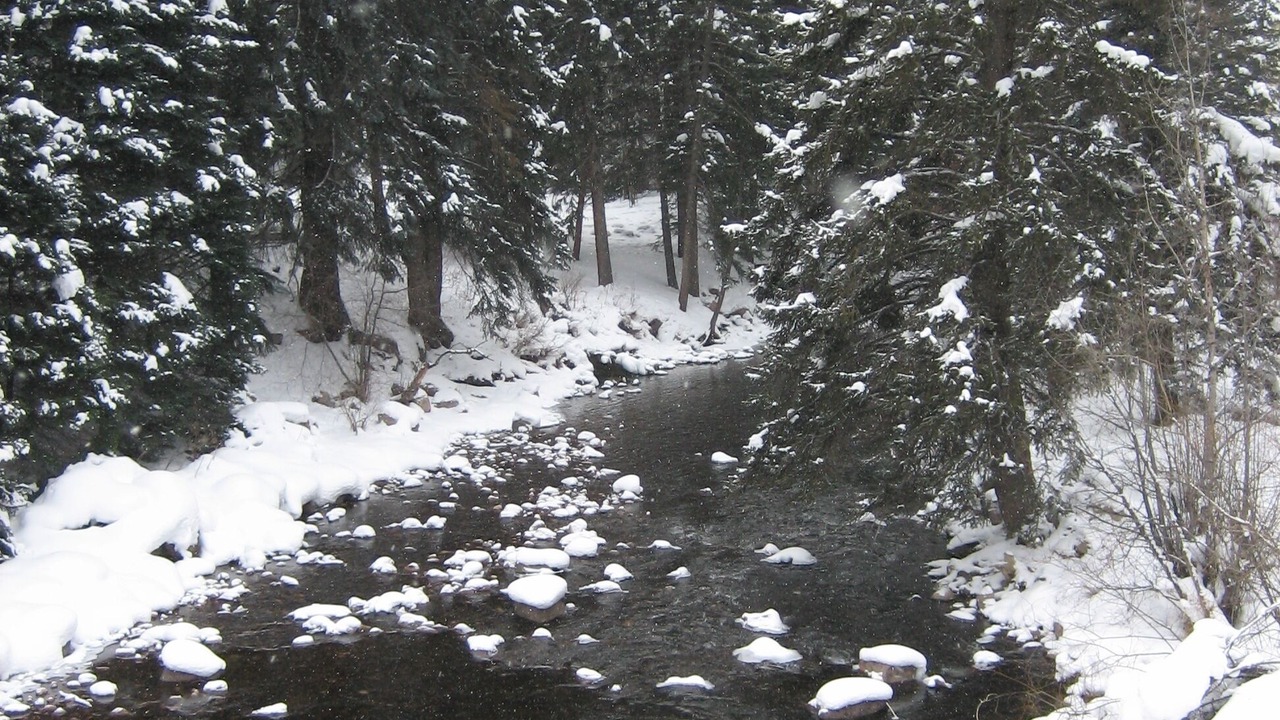 Photo of Others in Vail