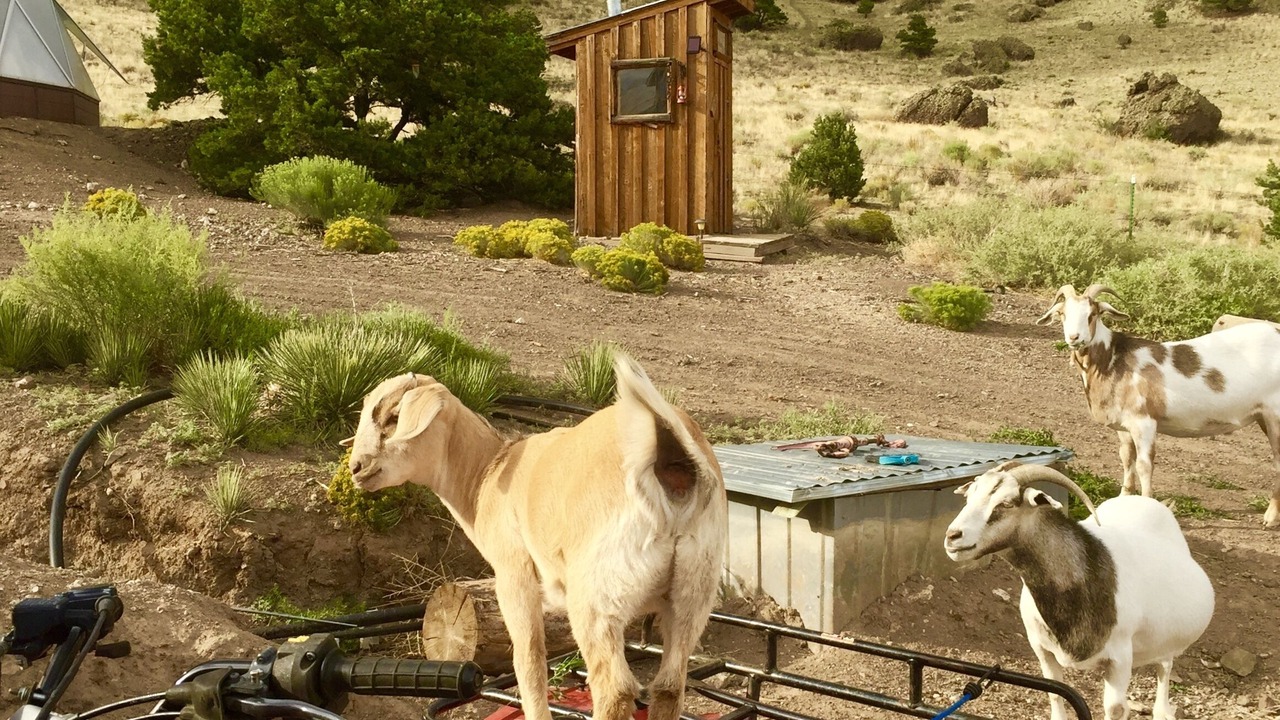 Photo of Outdoor in Del Norte