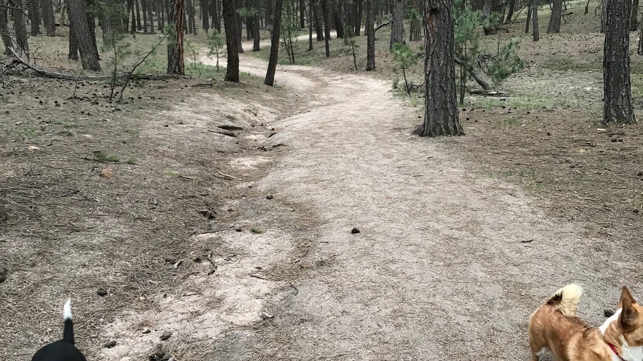 Photo of Others in Colorado Springs