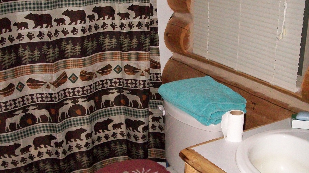 Photo of Bathroom in Antonito