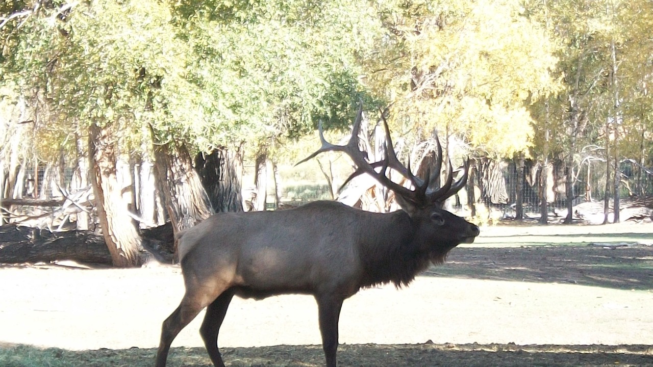 Photo of Outdoor in Antonito
