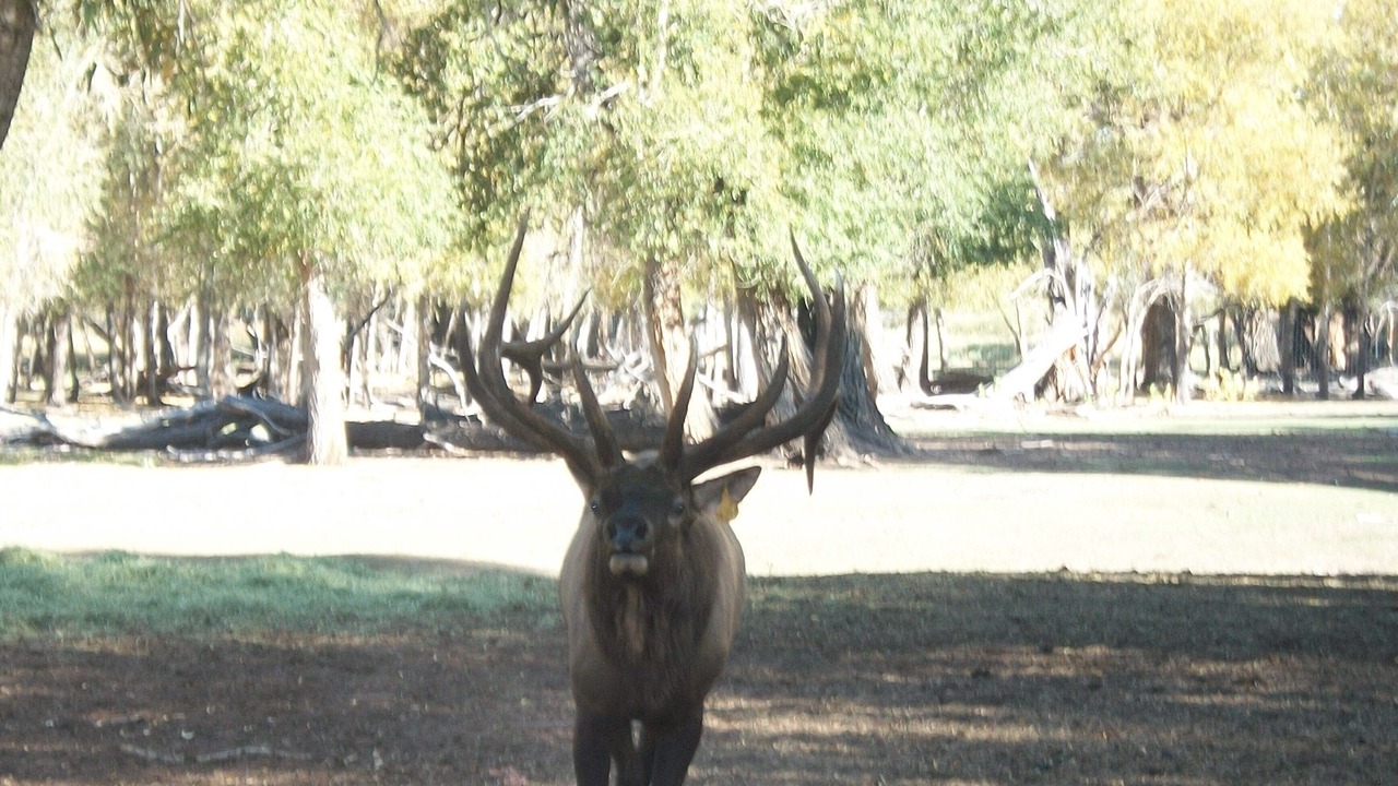 Photo of Outdoor in Antonito