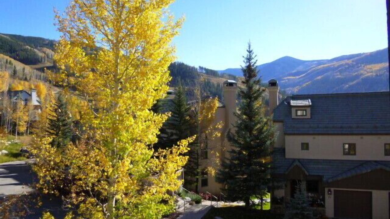 Photo of Others in Beaver Creek