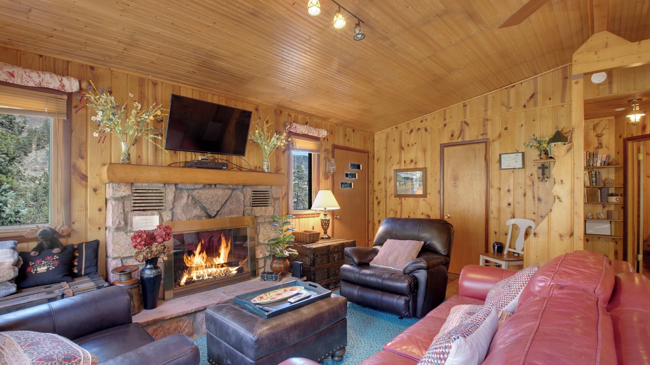 Photo of Livingroom in Woodland Park