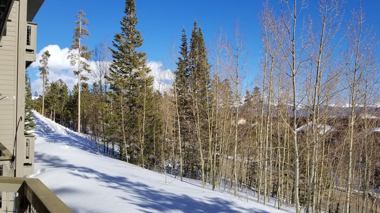 Photo of Others in Wildernest