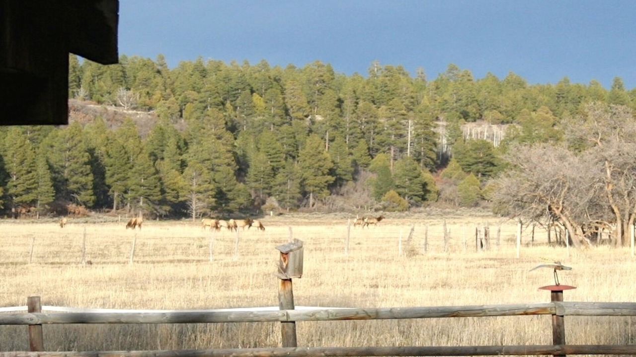 Photo of Others in Montrose