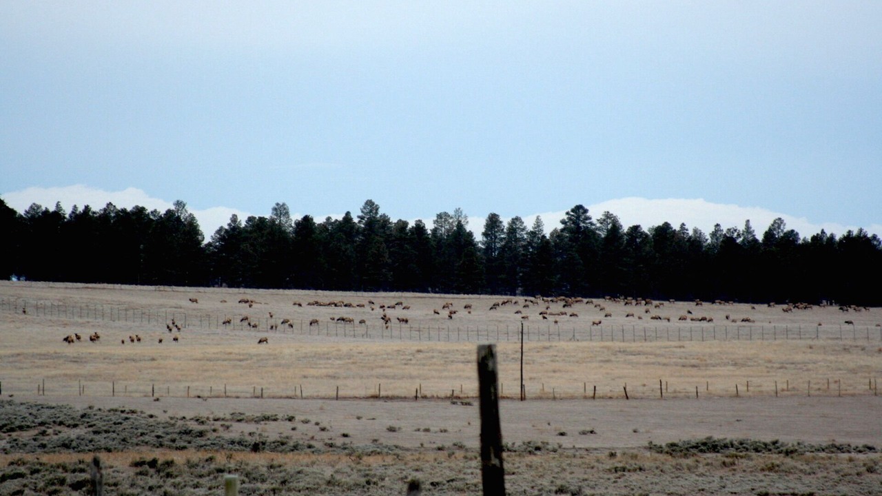 Photo of Others in Montrose