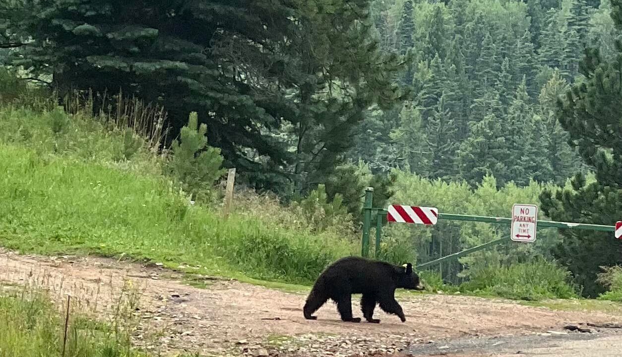 Photo of Outdoor in Beulah
