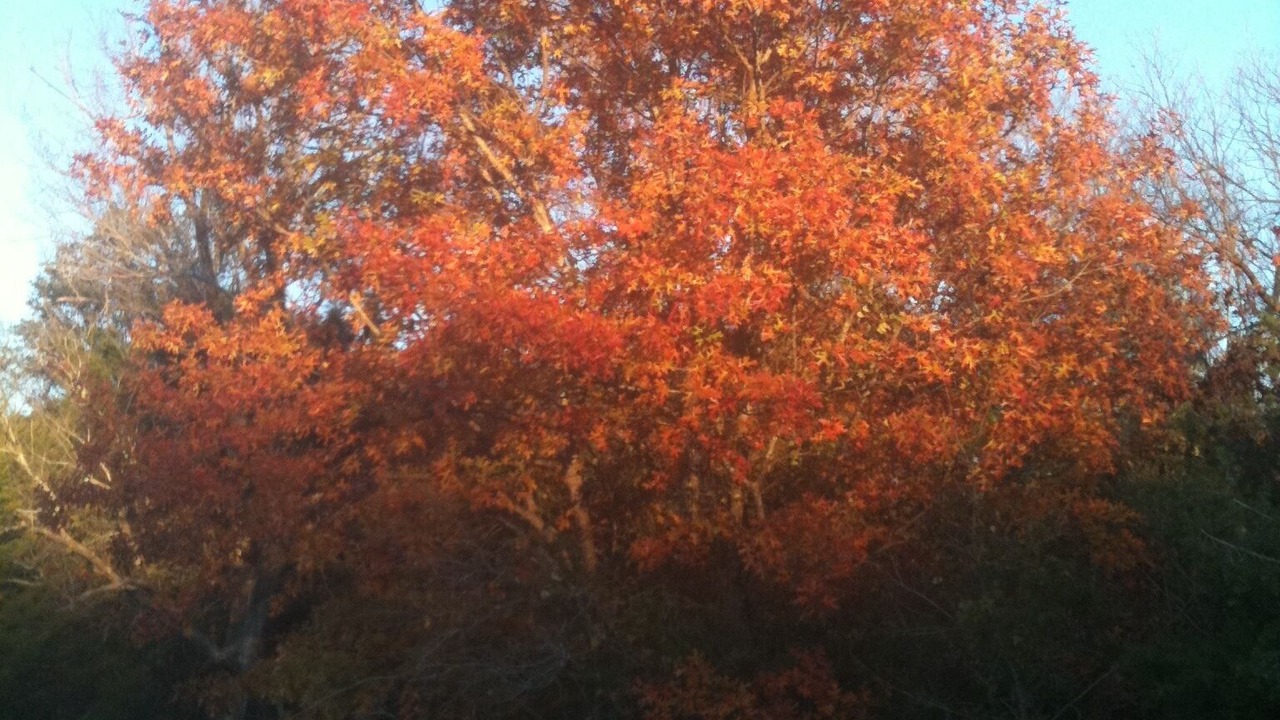 Photo of Outdoor in Beulah
