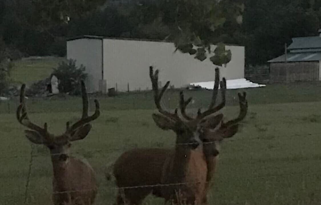 Photo of Outdoor in Beulah