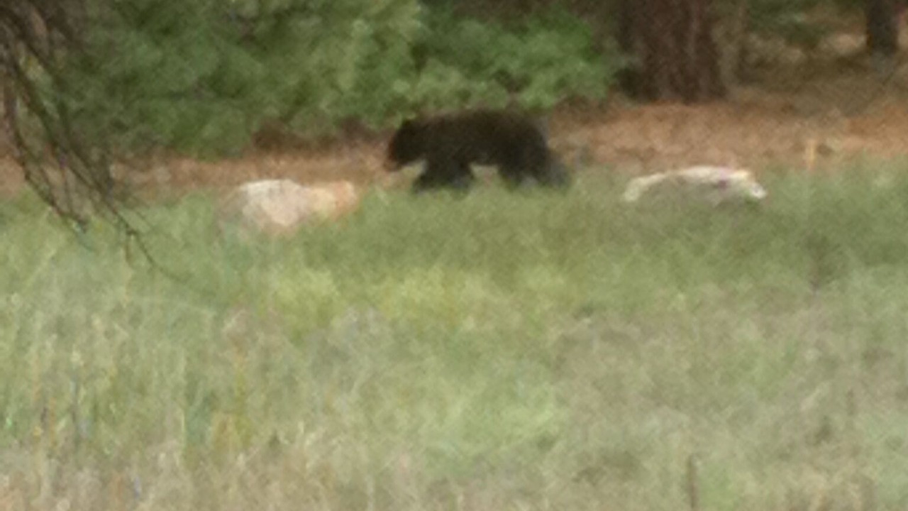 Photo of Outdoor in Beulah