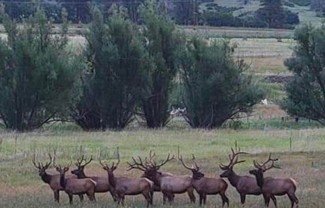 Photo of Outdoor in Beulah